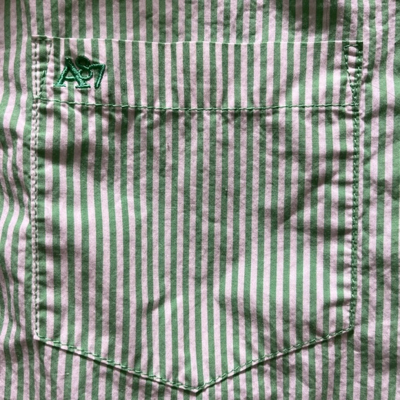 Aeropostale Vintage 1987 Men’s Light Green Striped Button Down Shirt. Large. - Picture 3 of 4